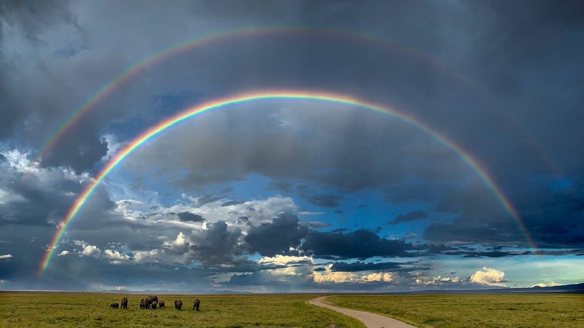 World Photography Day: Apple CEO Tim Cook Tweets 5 Images Taken by an iPhone