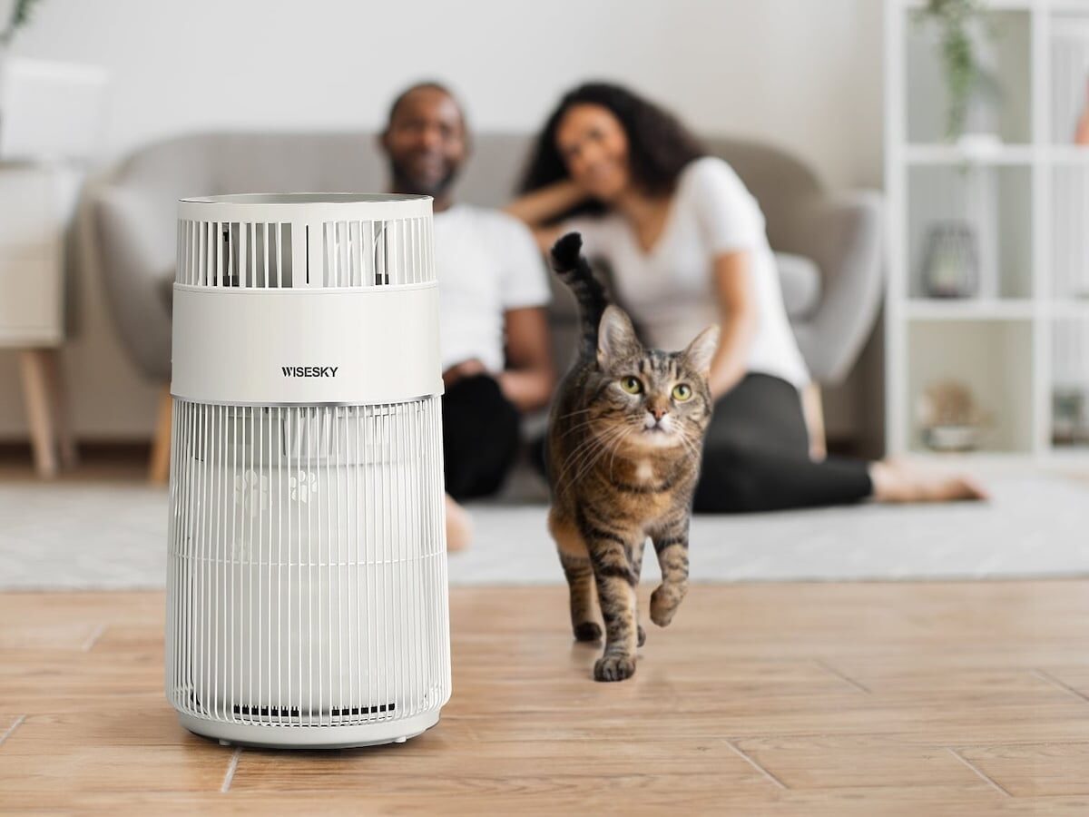 This air purifier for cat hair removes dander & more in large spaces