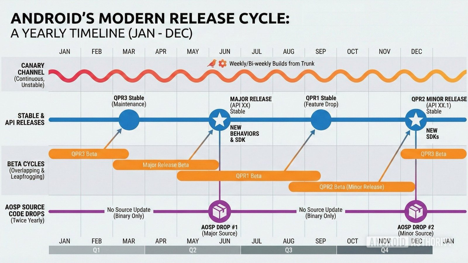 android-release-cycle-yearly-canary-beta-qpr-aosp-source-sdk.jpg