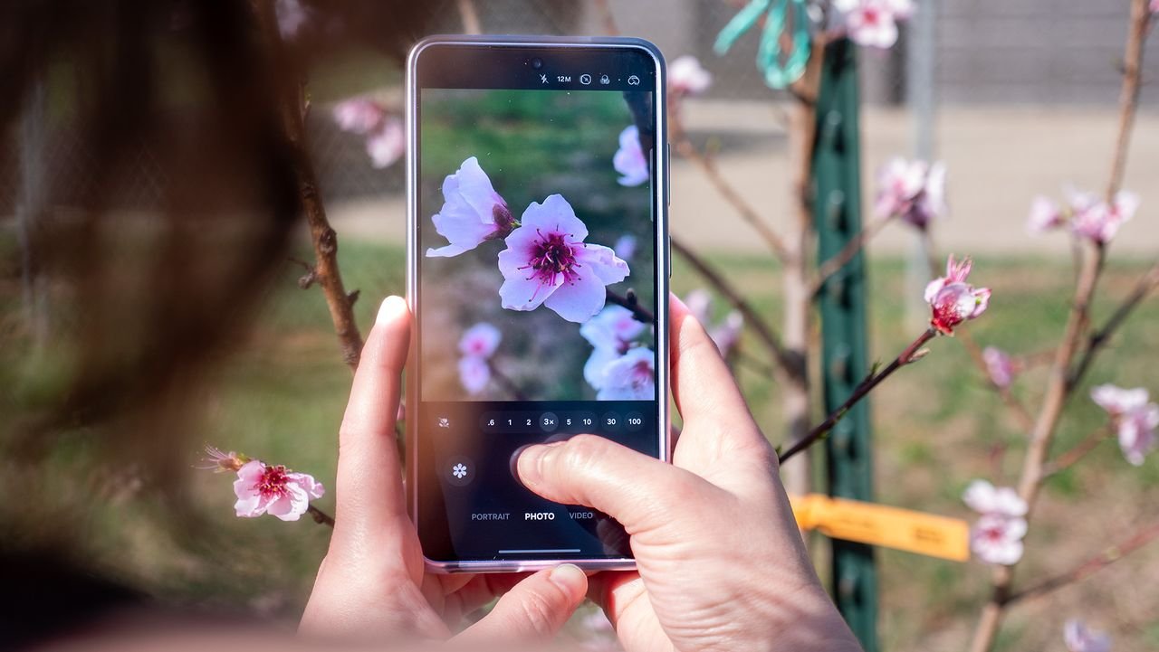 3QGjaCmbFv58R4VHvzQ9Eo-1280-80.jpg