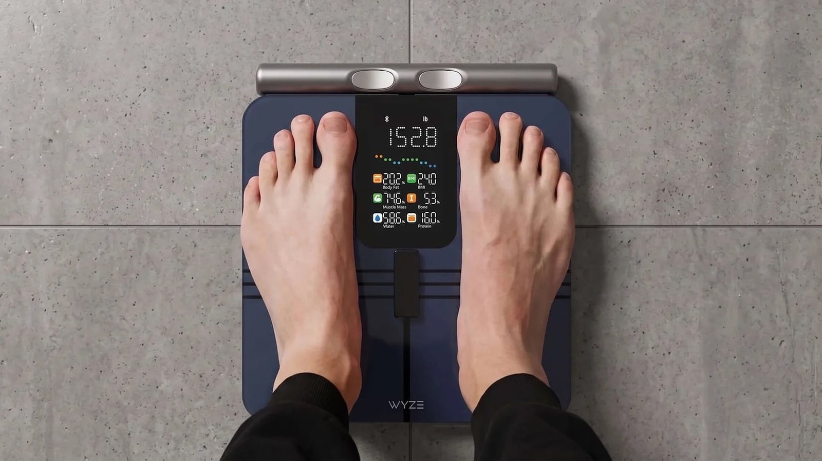 Wyze-Scale-Bodyscan-003.jpg