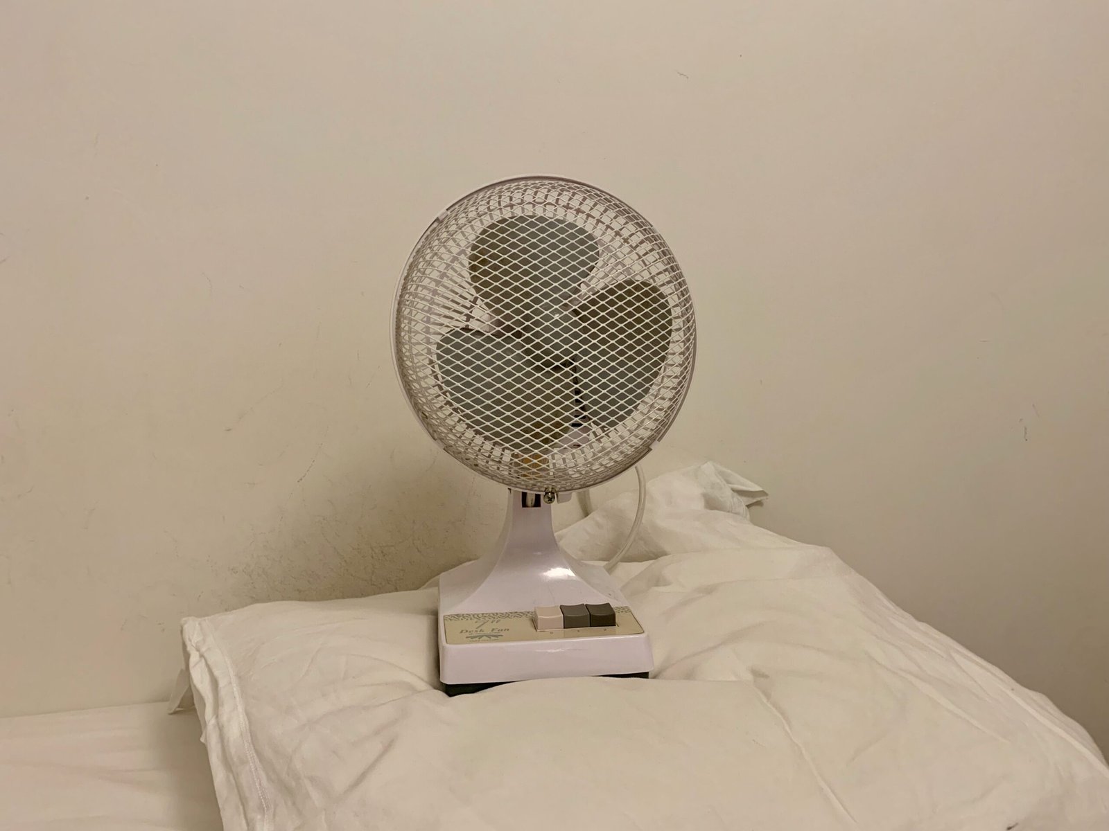 4198478-0-60373300-1784309712-OnlyFan.jpeg