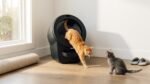 litter-robot-5-pro-litter-box-01.jpg
