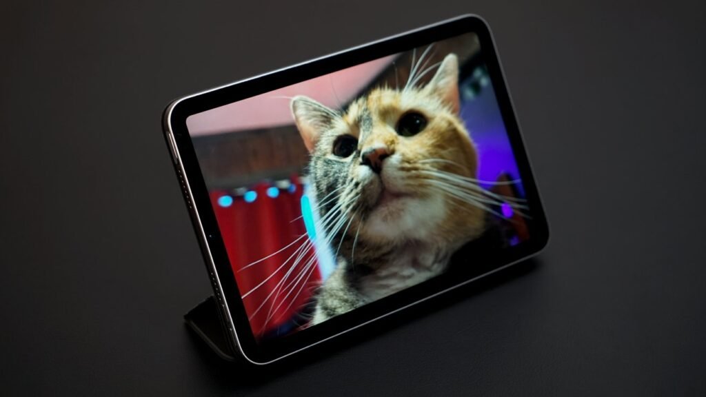 69173-145940-iPad-mini-7-8-xl.jpg
